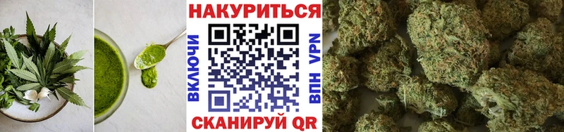 кракен tor  Стародуб  Еда ТГК марихуана  дарнет шоп 