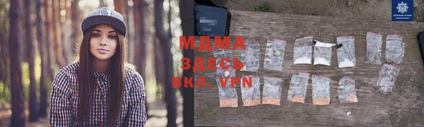 гашик Ладушкин