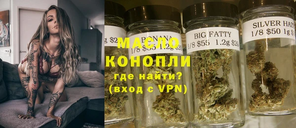 гашик Ладушкин
