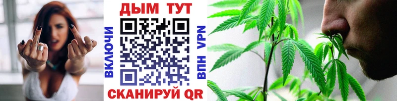 хочу   Стародуб  Бошки марихуана сатива 